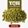Lúpulo Simcoe x 5 Kg Yakima Quality Cosecha 2025
