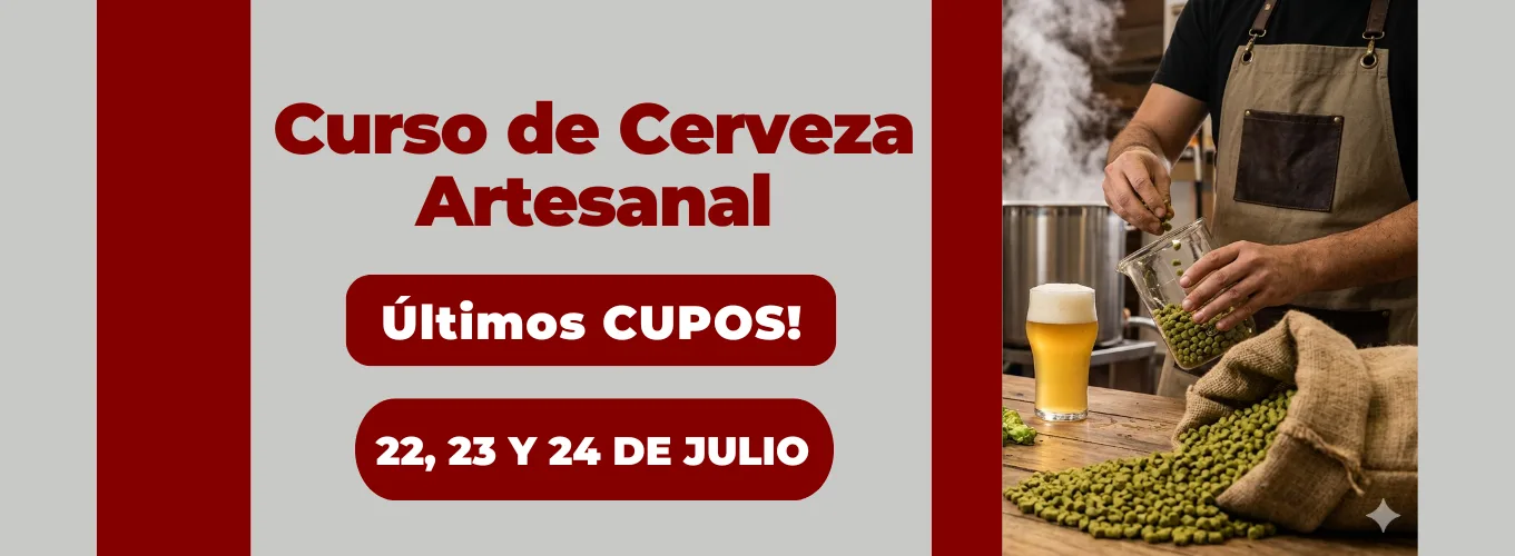Inicio