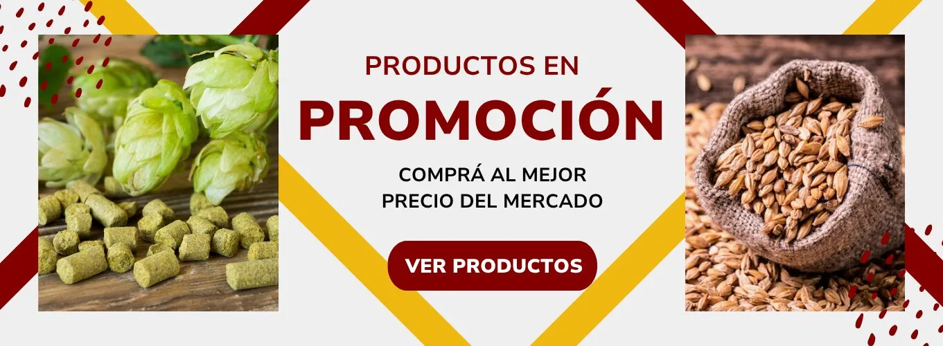 Inicio