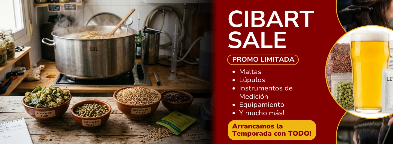 Inicio