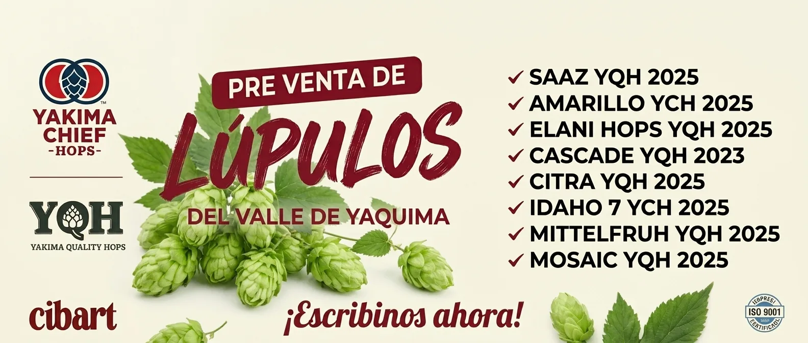 Inicio